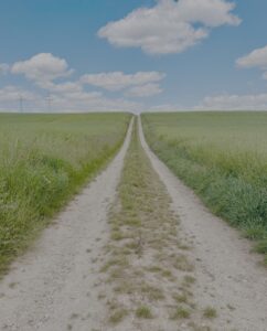 AnimaCorpo Mentoring Programm: Beschleunige deine Karriere